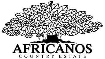 Africanos  Black Accommodation Page